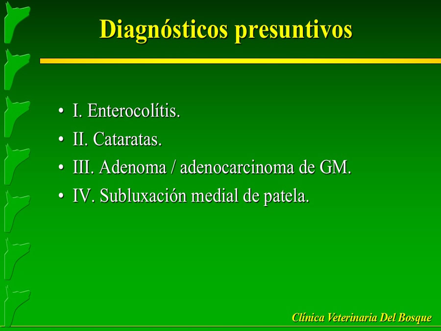 Perroton Dog Chow Intervencin Veterinaria