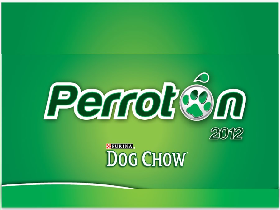 Perroton Dog Chow Intervencin Veterinaria