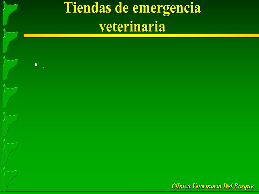 Perroton Dog Chow Intervencin Veterinaria