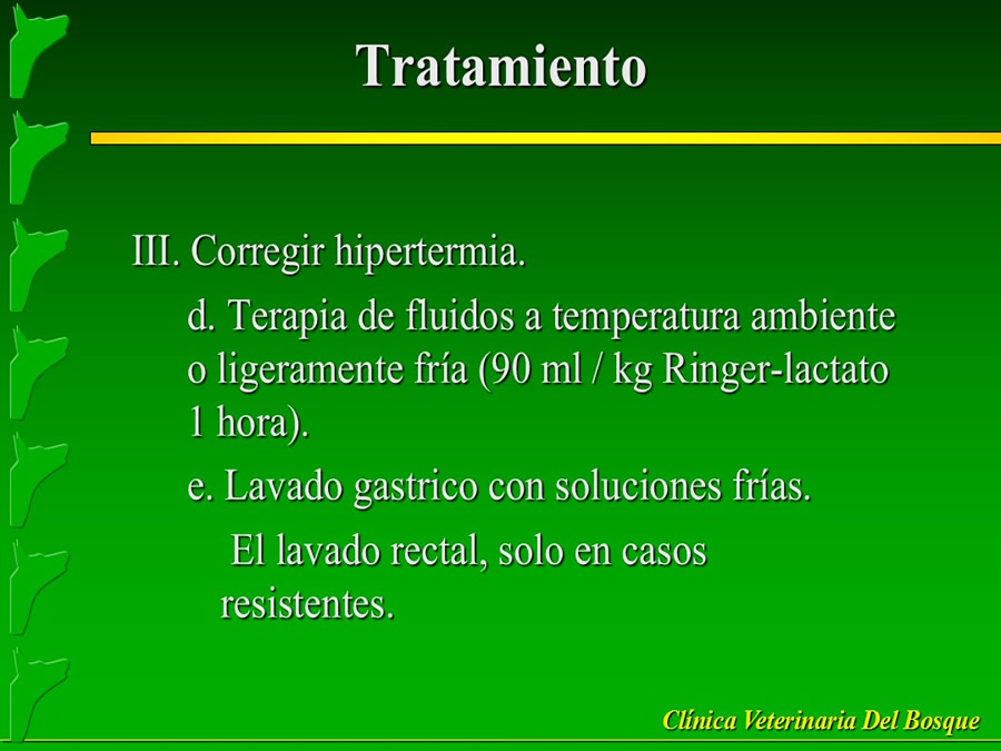 Perroton Dog Chow Intervencin Veterinaria