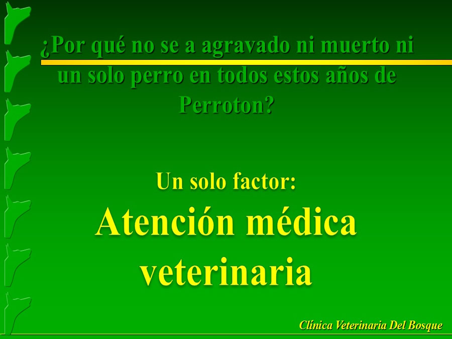 Perroton Dog Chow Intervencin Veterinaria