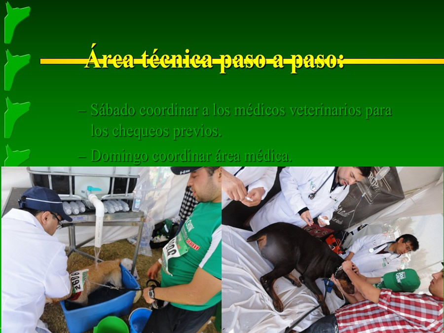 Perroton Dog Chow Intervencin Veterinaria