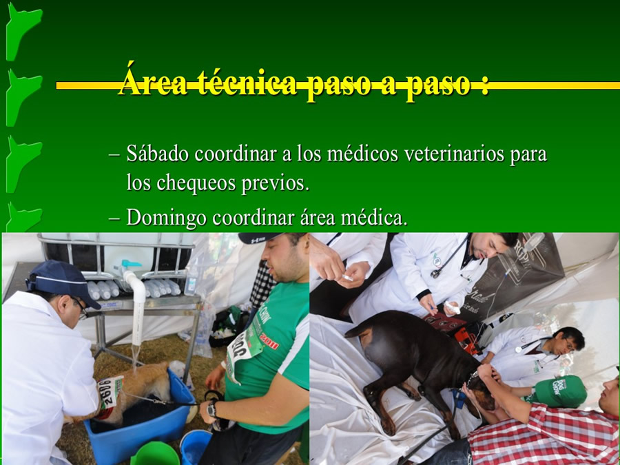 Perroton Dog Chow Intervencin Veterinaria