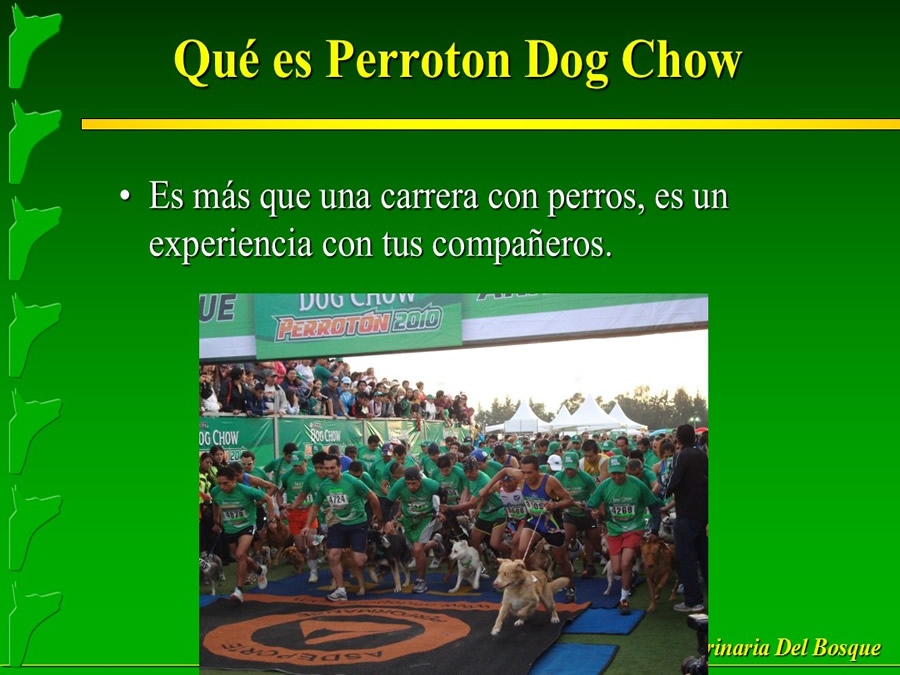 Perroton Dog Chow Intervencin Veterinaria