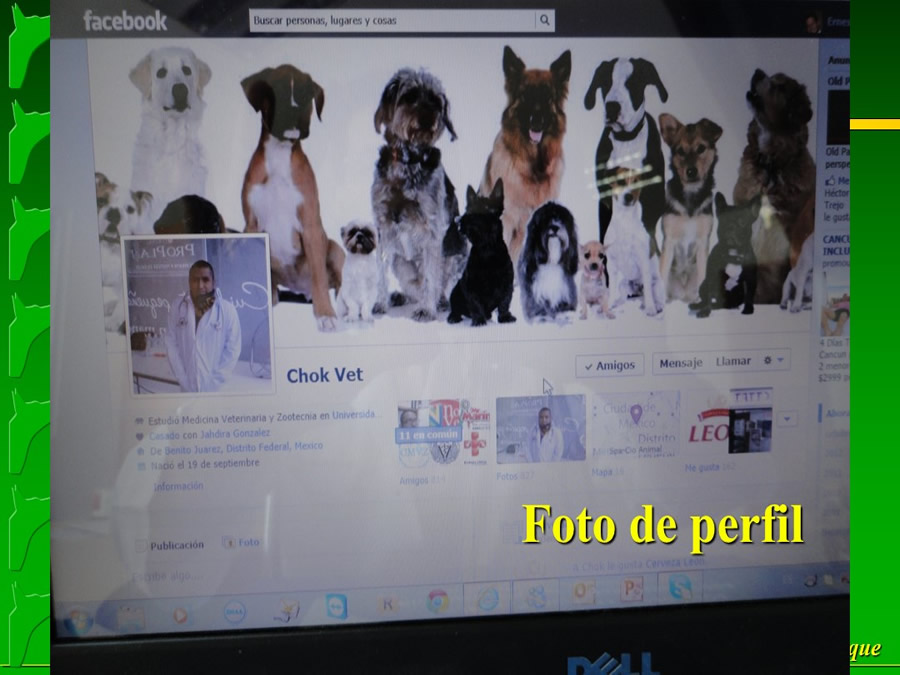 Perroton Dog Chow Intervencin Veterinaria