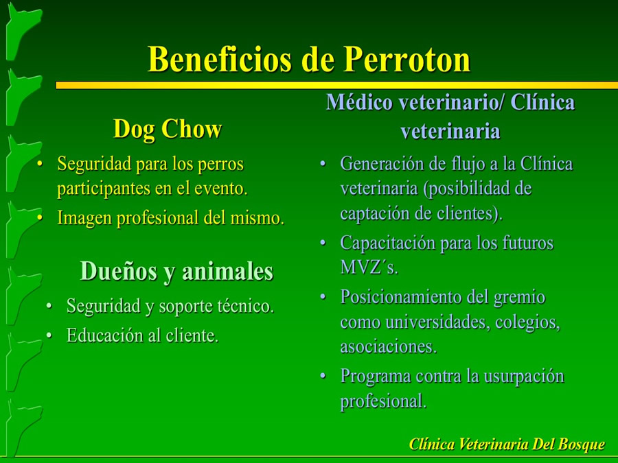 Perroton Dog Chow Intervencin Veterinaria