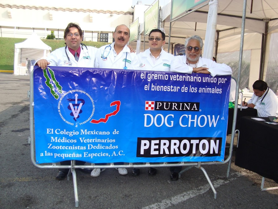 Perroton Dog Chow Intervencin Veterinaria