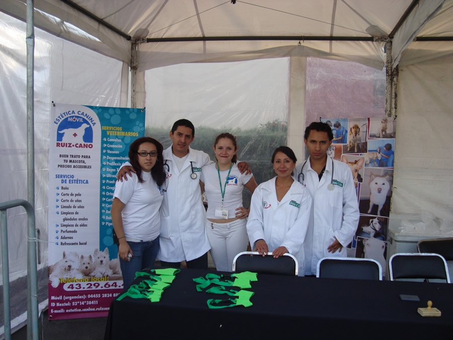 Perroton Dog Chow Intervencin Veterinaria