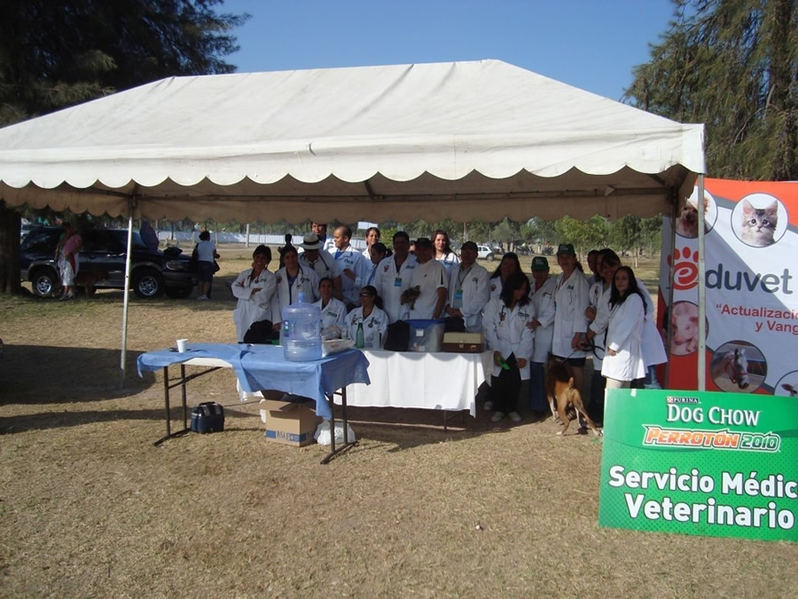 Perroton Dog Chow Intervencin Veterinaria