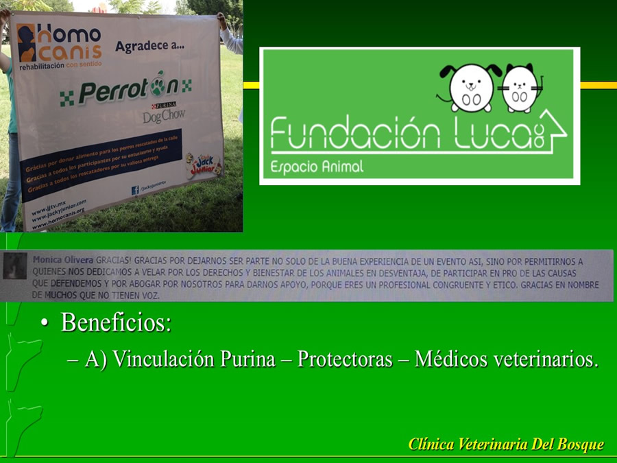 Perroton Dog Chow Intervencin Veterinaria