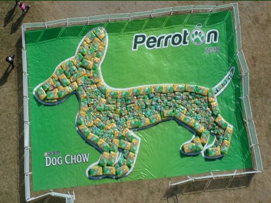 Perroton Dog Chow Intervencin Veterinaria