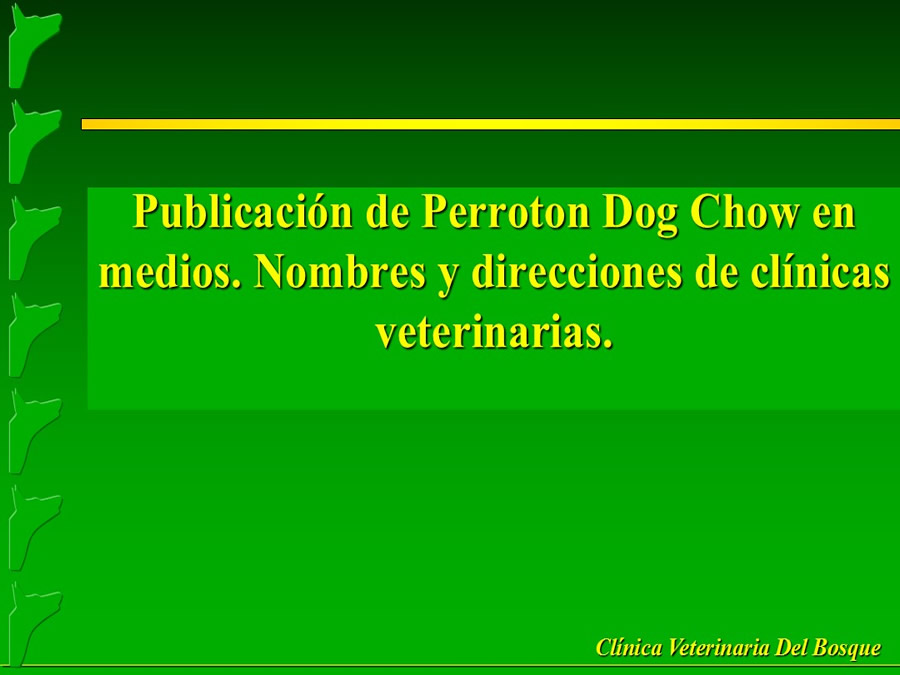 Perroton Dog Chow Intervencin Veterinaria