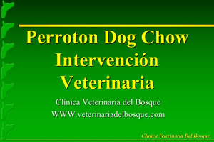 Perroton Dog Chow Intervencin Veterinaria