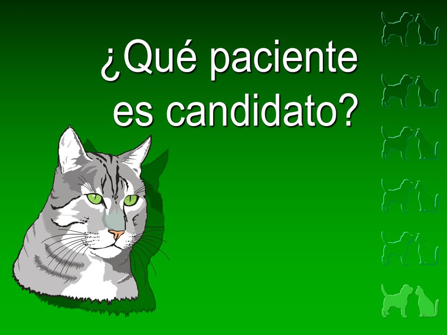 Procedimientos Veterinarios en perros y gatos