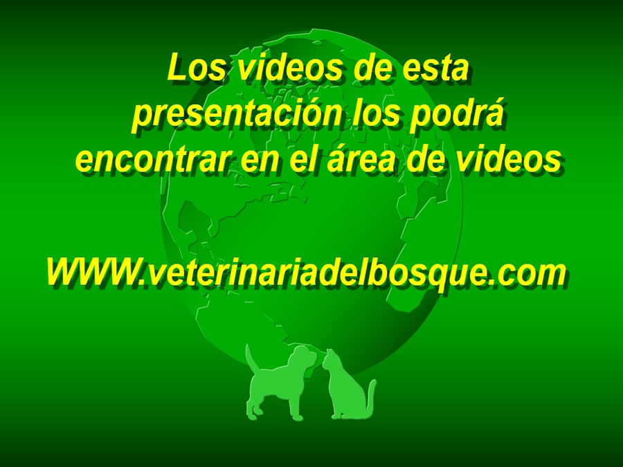 Procedimientos Veterinarios en perros y gatos