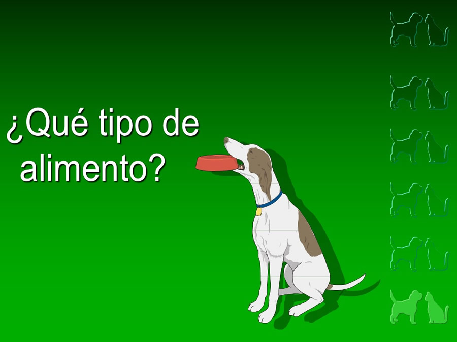 Procedimientos Veterinarios en perros y gatos