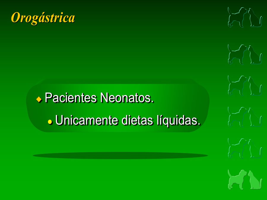 Procedimientos Veterinarios en perros y gatos