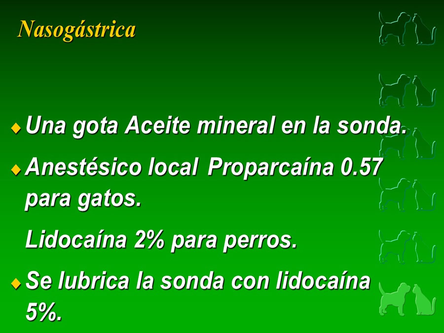 Procedimientos Veterinarios en perros y gatos