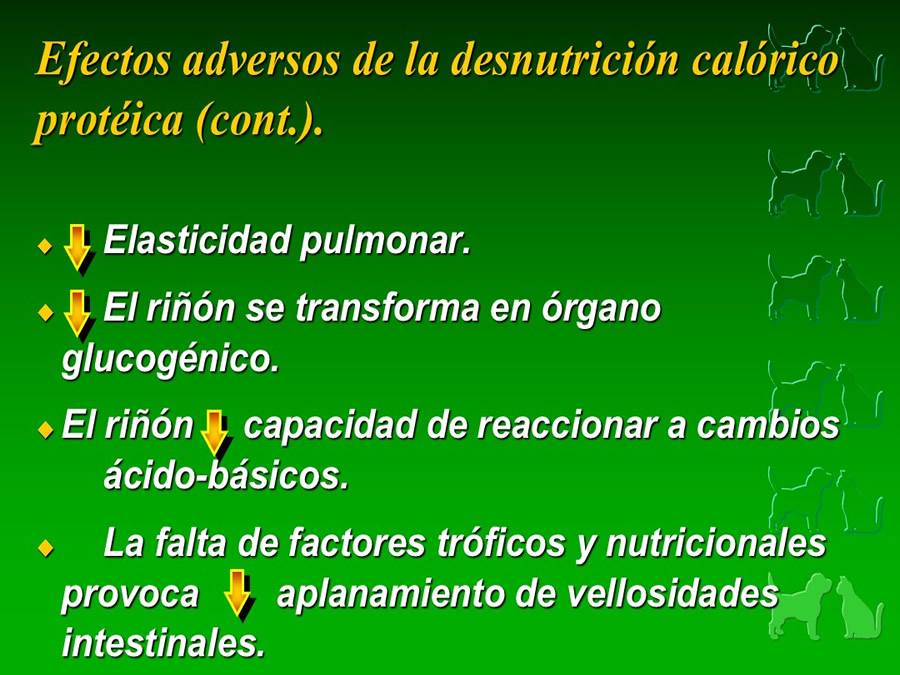 Procedimientos Veterinarios en perros y gatos