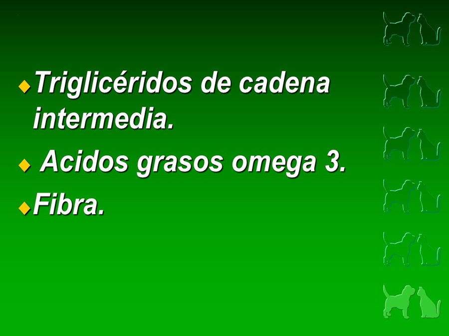 Procedimientos Veterinarios en perros y gatos