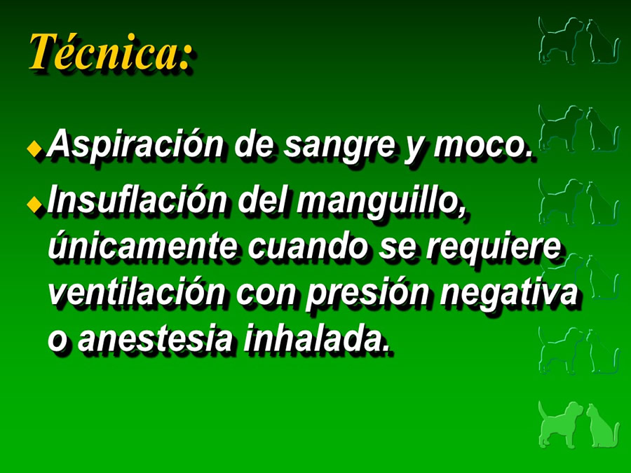 Procedimientos Veterinarios en perros y gatos