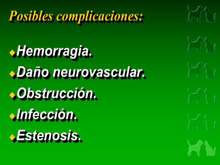 Procedimientos Veterinarios en perros y gatos