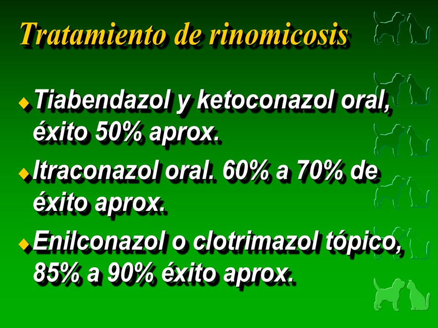 Procedimientos Veterinarios en perros y gatos