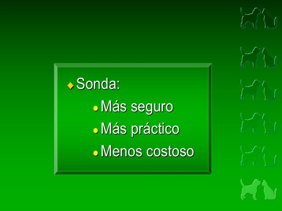 Procedimientos Veterinarios en perros y gatos