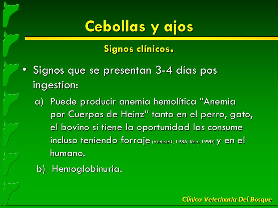 Pulgas