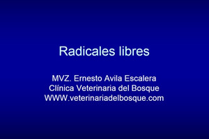 Radicales libres