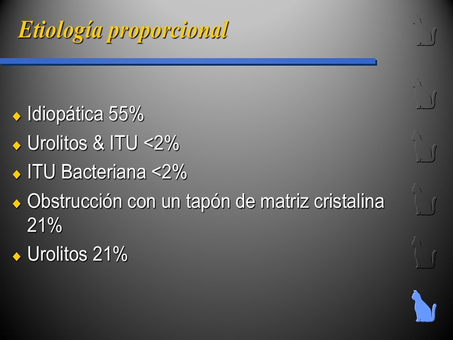 Enfermedad del Tracto Urinario Bajo en Gatos
