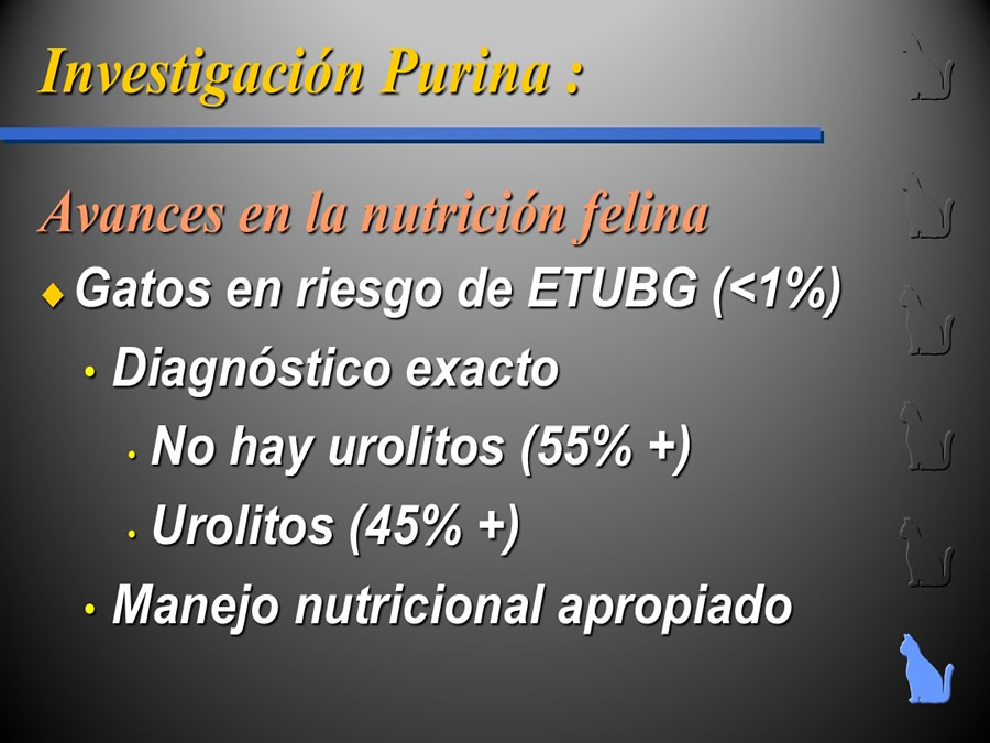 Enfermedad del Tracto Urinario Bajo en Gatos