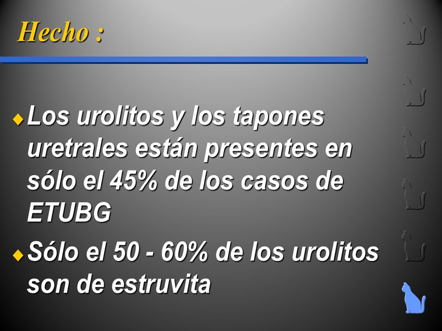Enfermedad del Tracto Urinario Bajo en Gatos