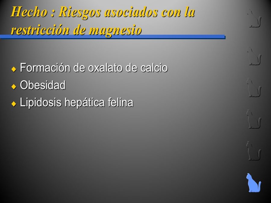 Enfermedad del Tracto Urinario Bajo en Gatos