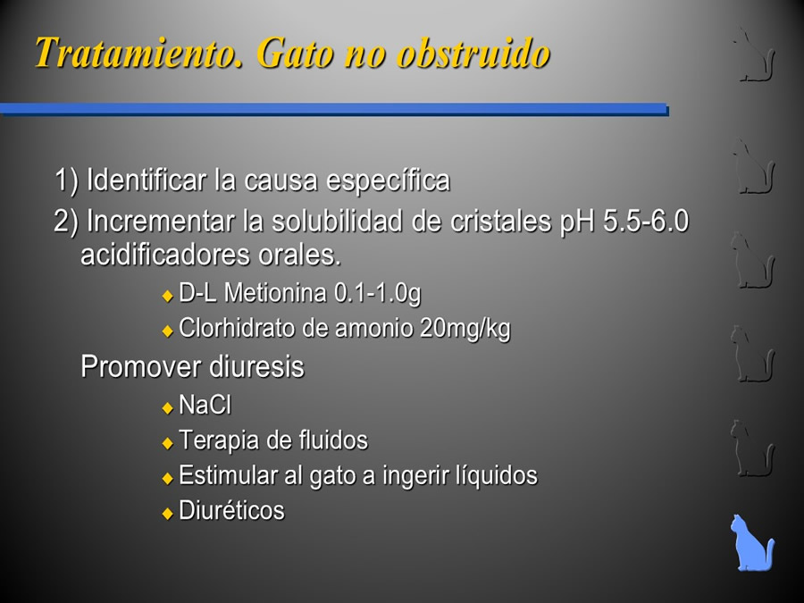 Enfermedad del Tracto Urinario Bajo en Gatos