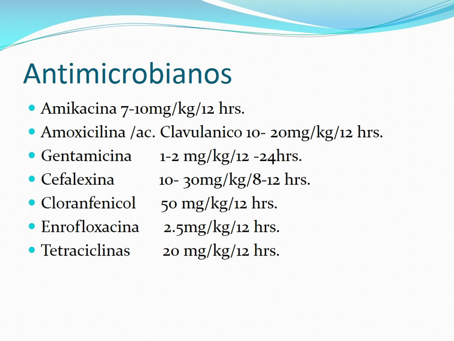 Traquetis