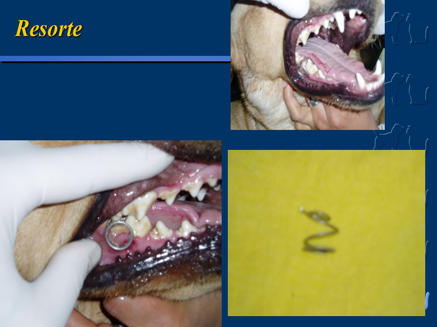 Algunos casos de trastornos gastroentericos