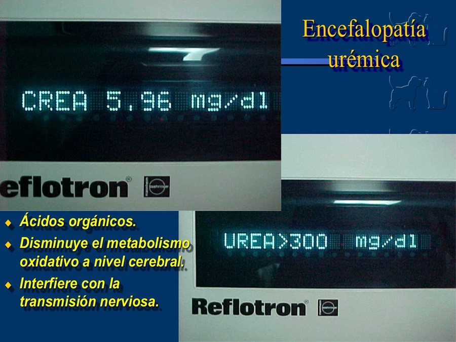 Algunos casos de trastornos gastroentericos