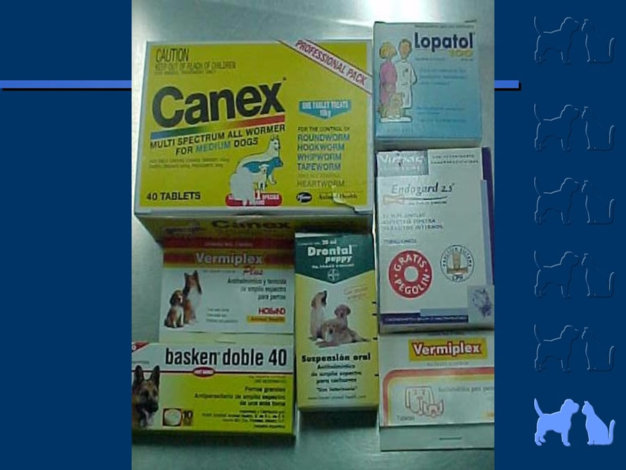 Algunos casos de trastornos gastroentericos
