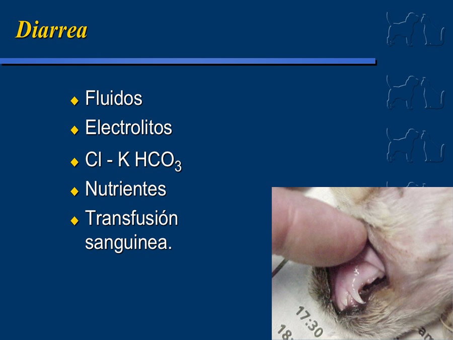 Algunos casos de trastornos gastroentericos