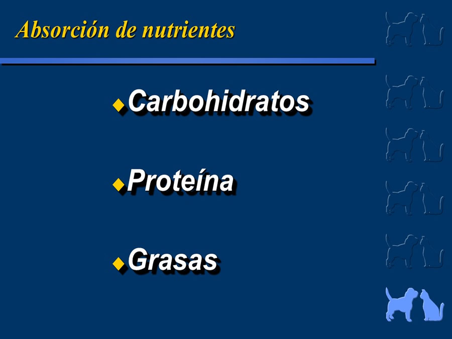 Algunos casos de trastornos gastroentericos