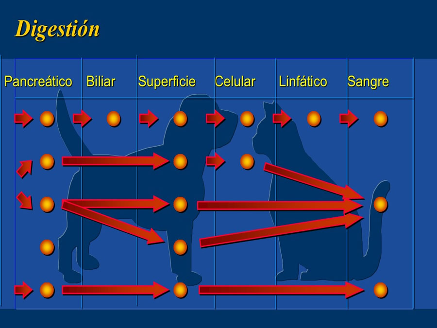 Algunos casos de trastornos gastroentericos