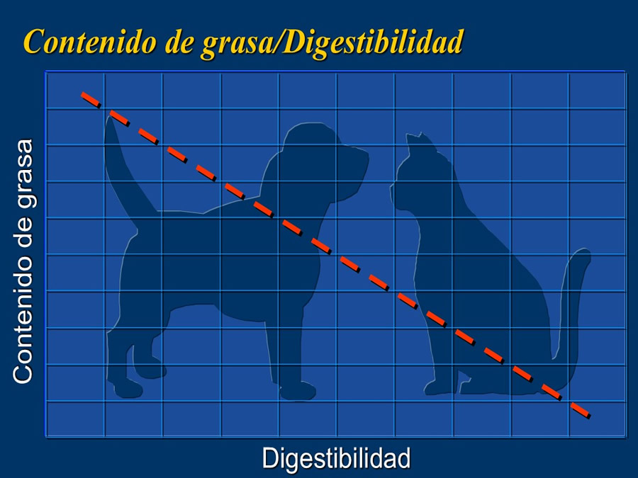 Algunos casos de trastornos gastroentericos