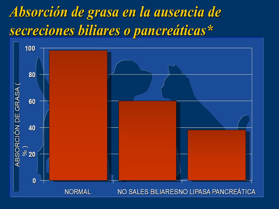 Algunos casos de trastornos gastroentericos