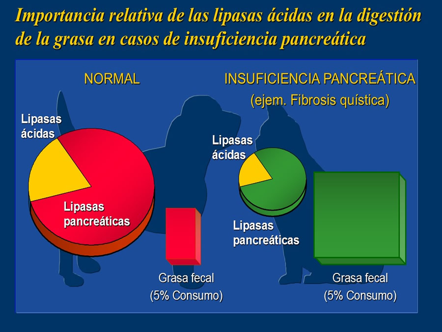 Algunos casos de trastornos gastroentericos