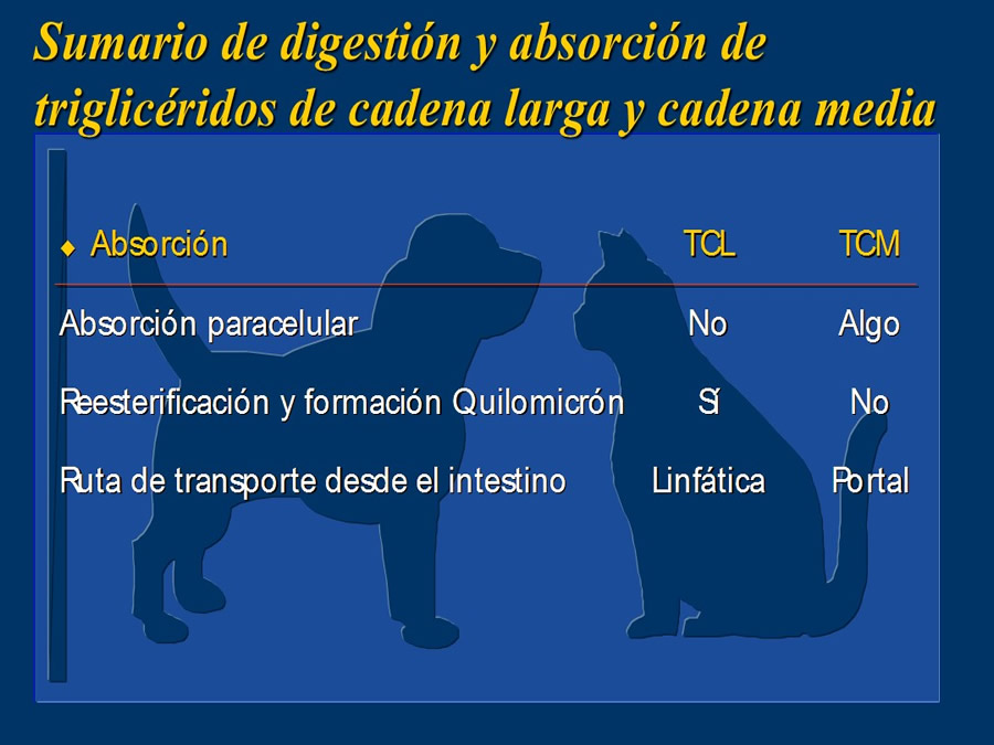 Algunos casos de trastornos gastroentericos