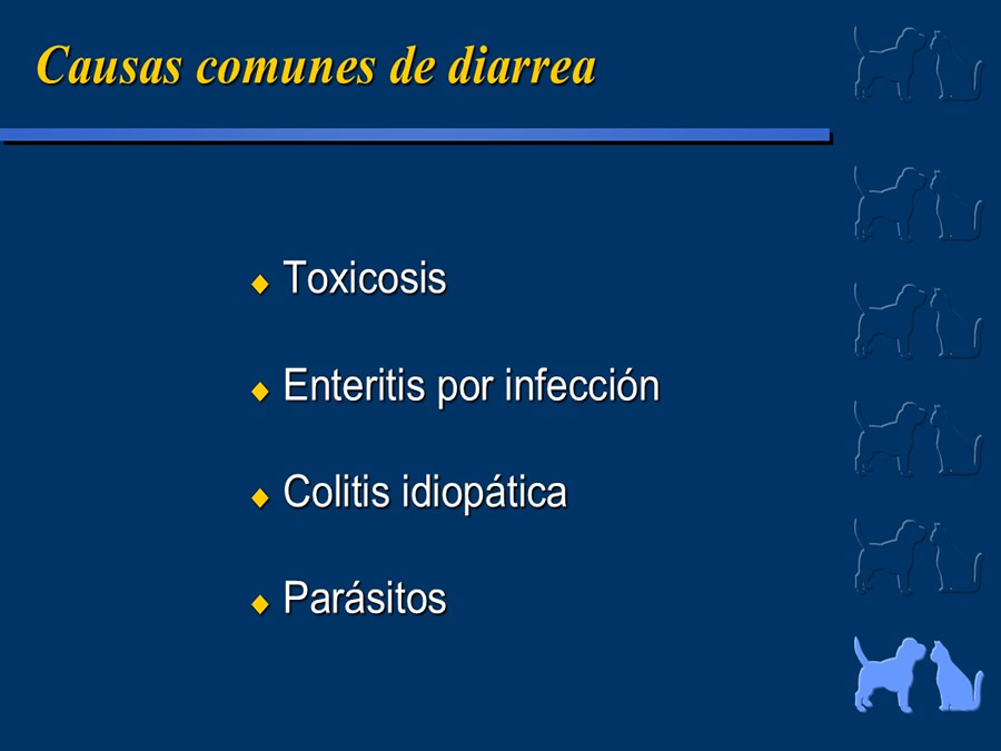 Algunos casos de trastornos gastroentericos