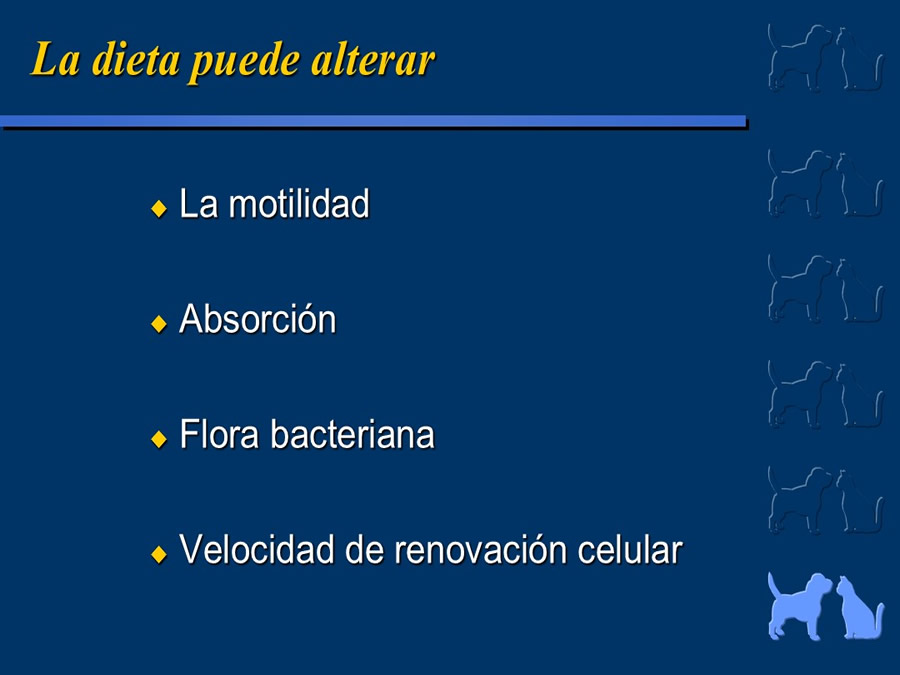 Algunos casos de trastornos gastroentericos