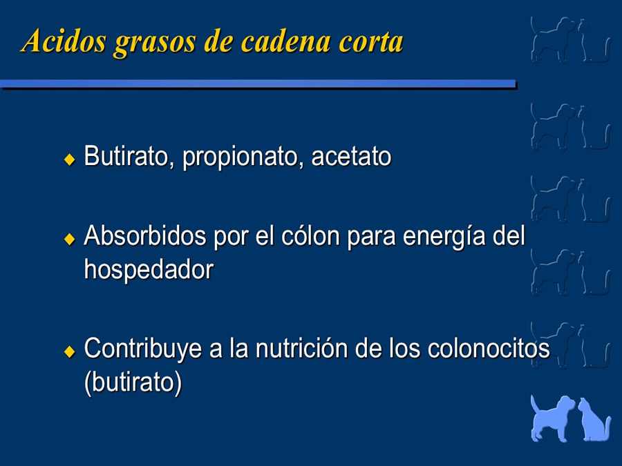 Algunos casos de trastornos gastroentericos