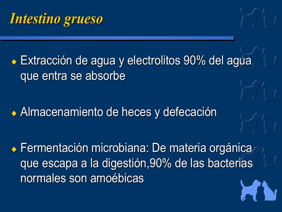 Algunos casos de trastornos gastroentericos